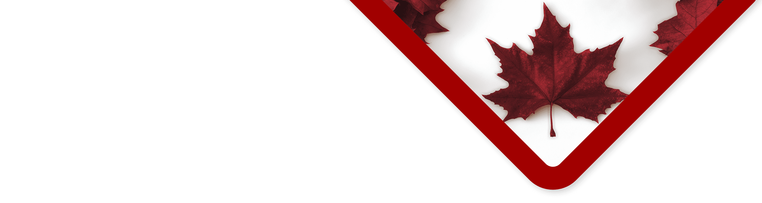 Happy Canada Day! 